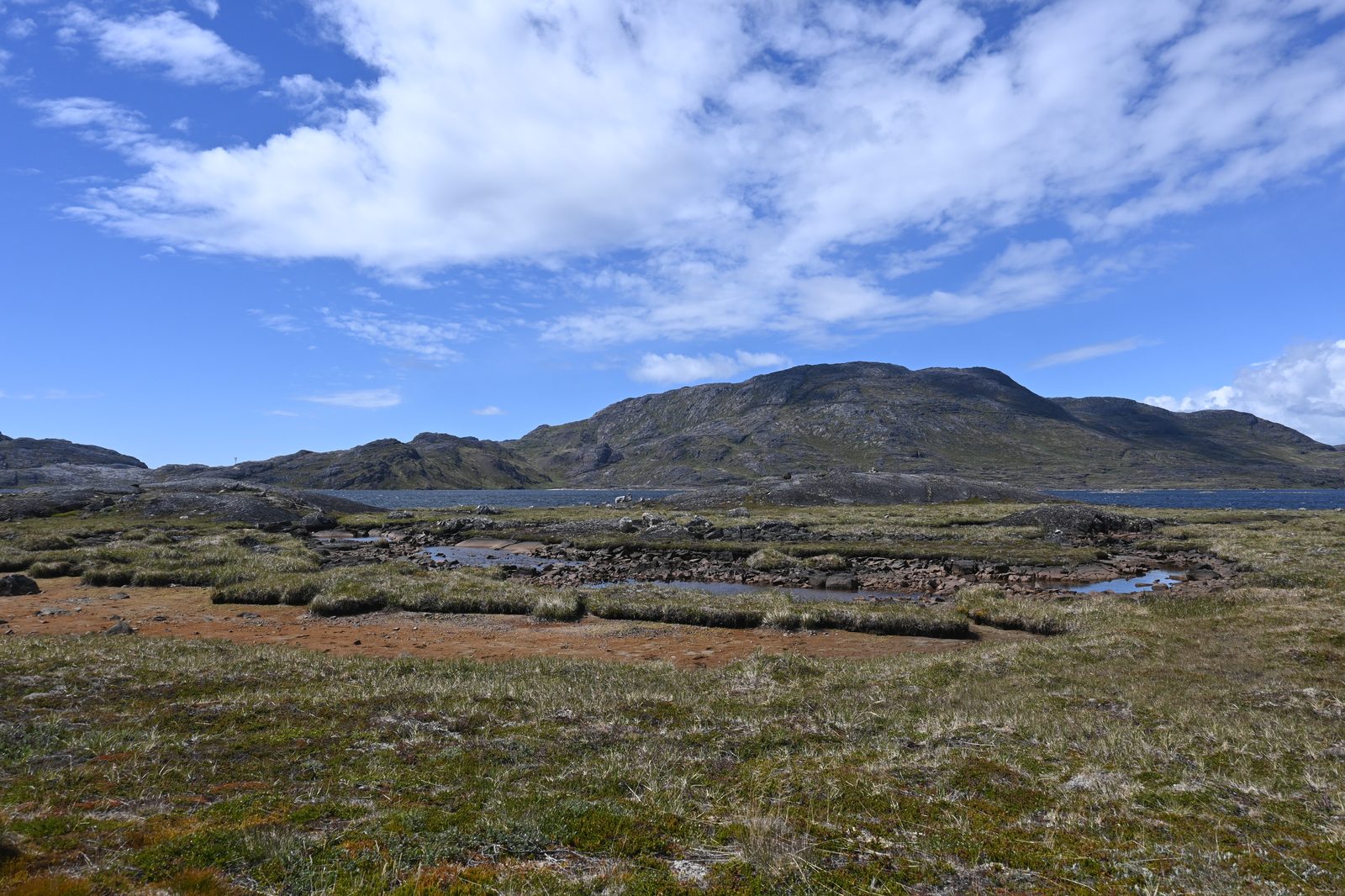DSC_7165.JPG